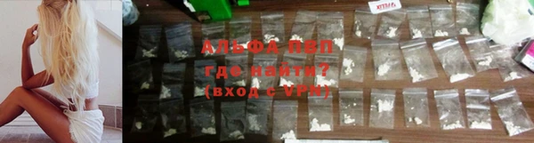 стаф Баксан