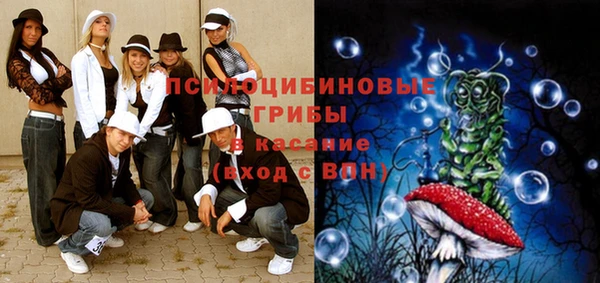 стаф Баксан