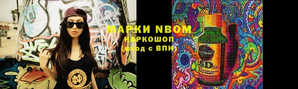 стаф Баксан